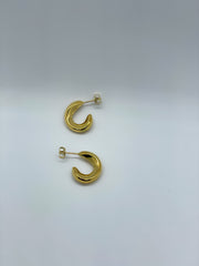 Golden Crescent Earrings
