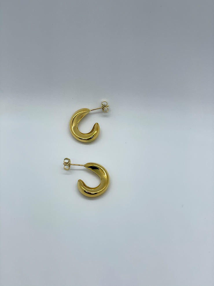 Golden Crescent Earrings